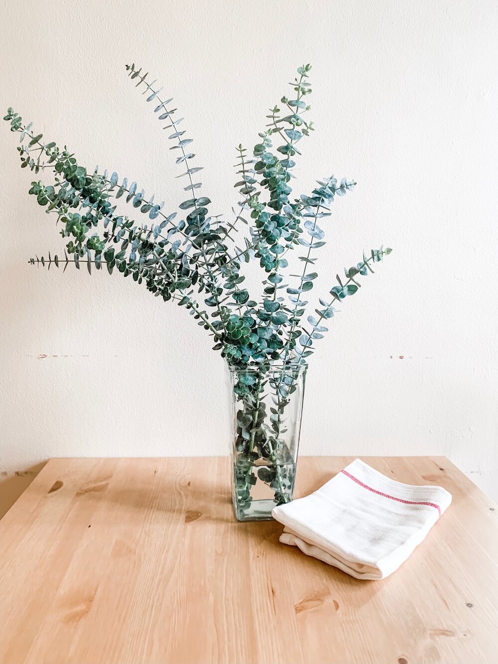 A Vase with Eucalyptus