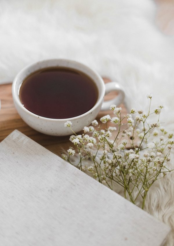 The Best Organic Tea Brands