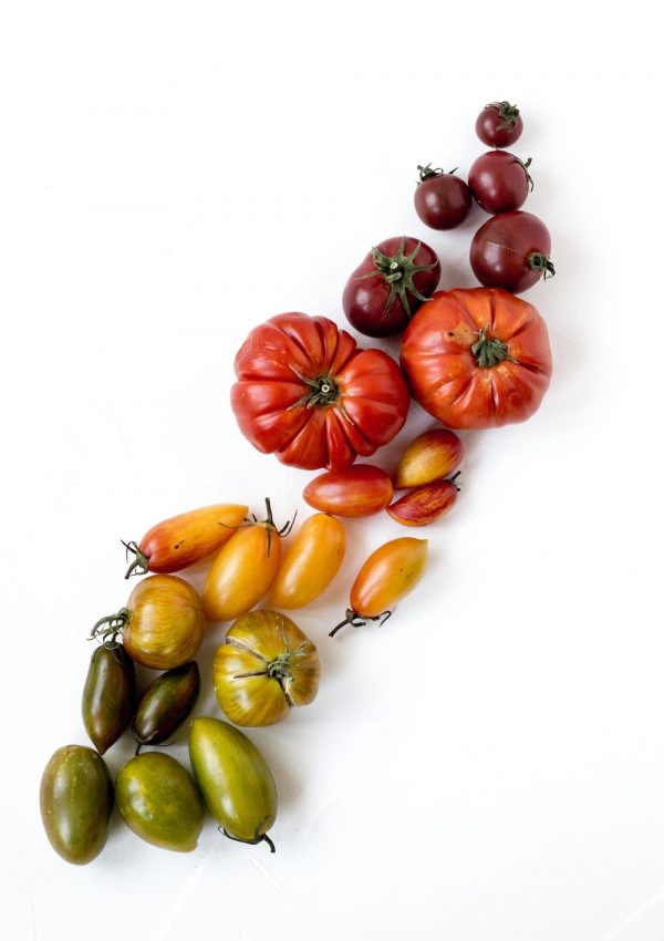 a colorful variety of heirloom tomatoes