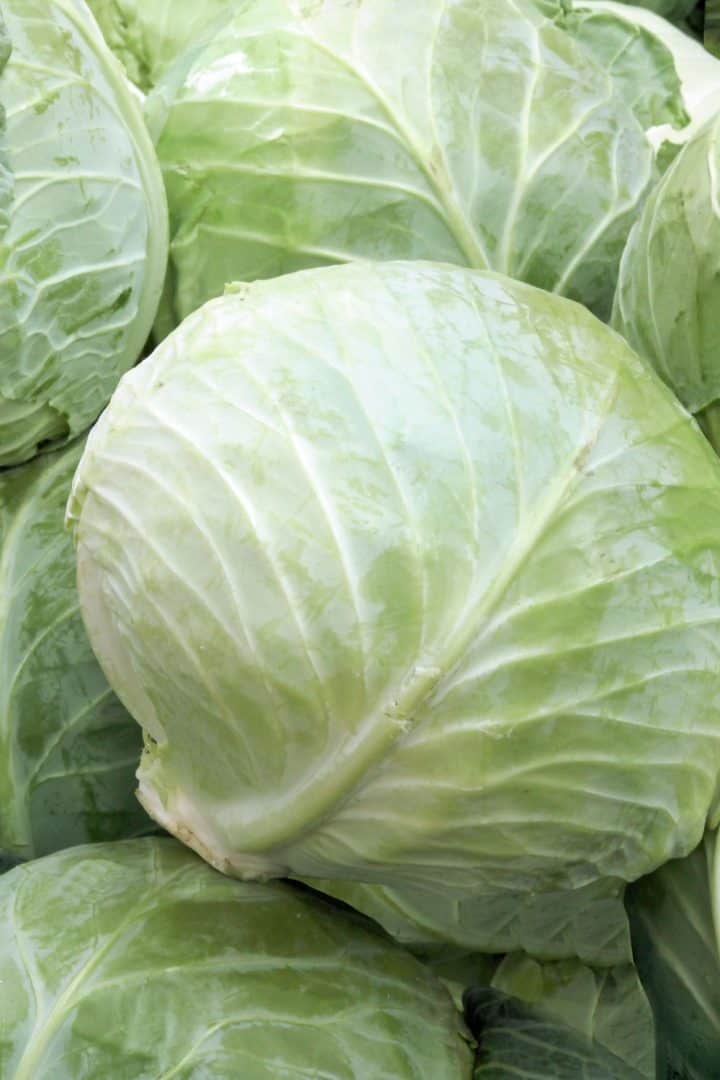 What Goes With Cabbage? A Nourishing Plate