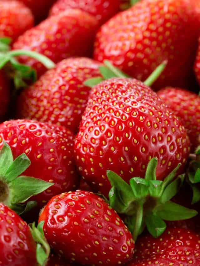 What Goes Well With Zucchini? A Nourishing Plate