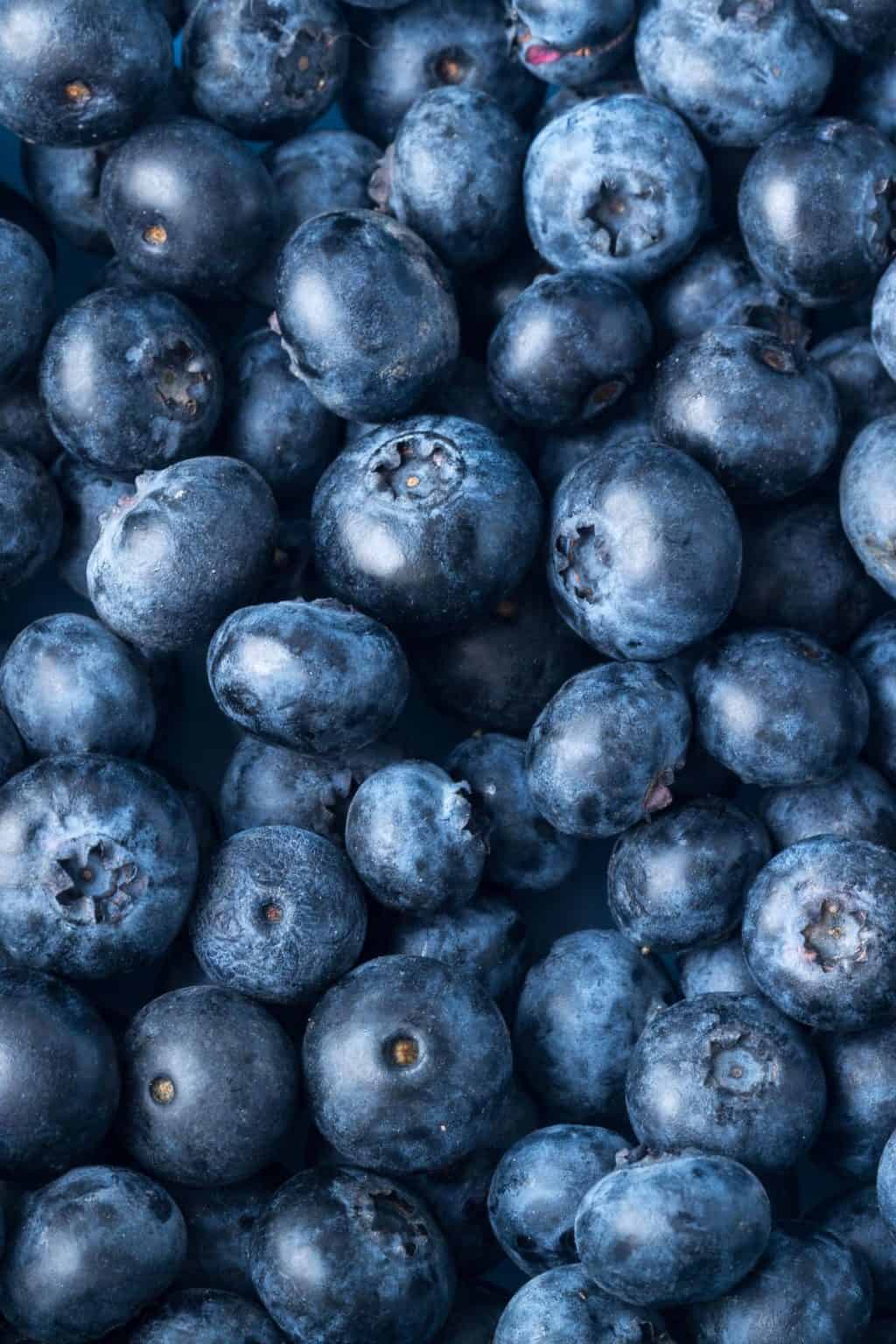 What Goes With Blueberries? A Nourishing Plate