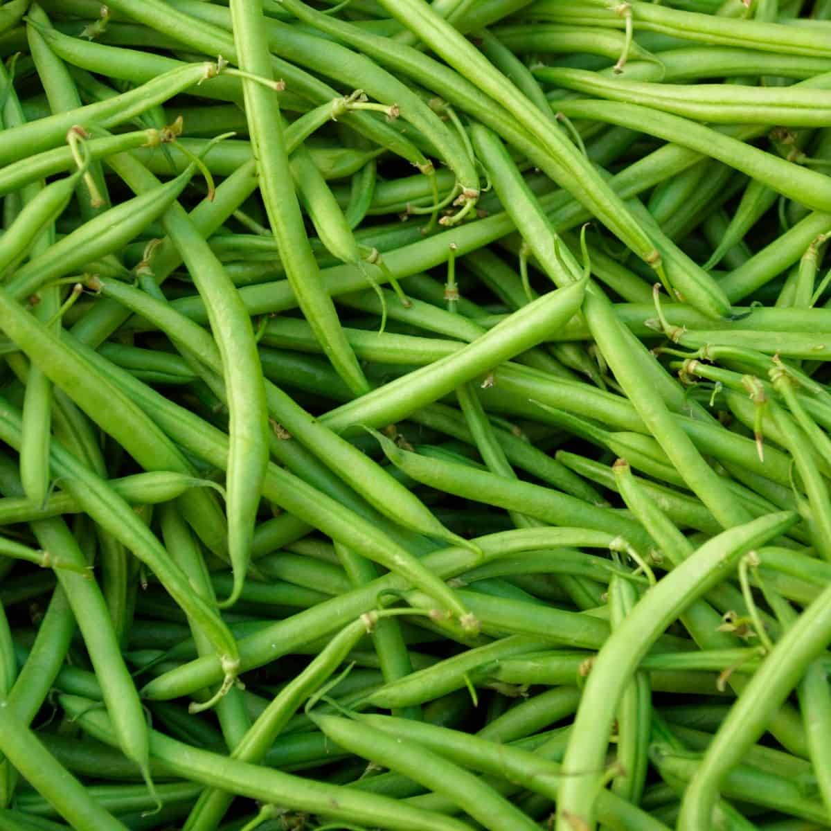 What Goes With Green Beans? A Nourishing Plate