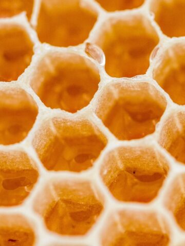 A close up of honeycomb.