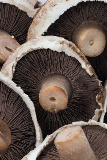 What Goes With Mushrooms? - A Nourishing Plate