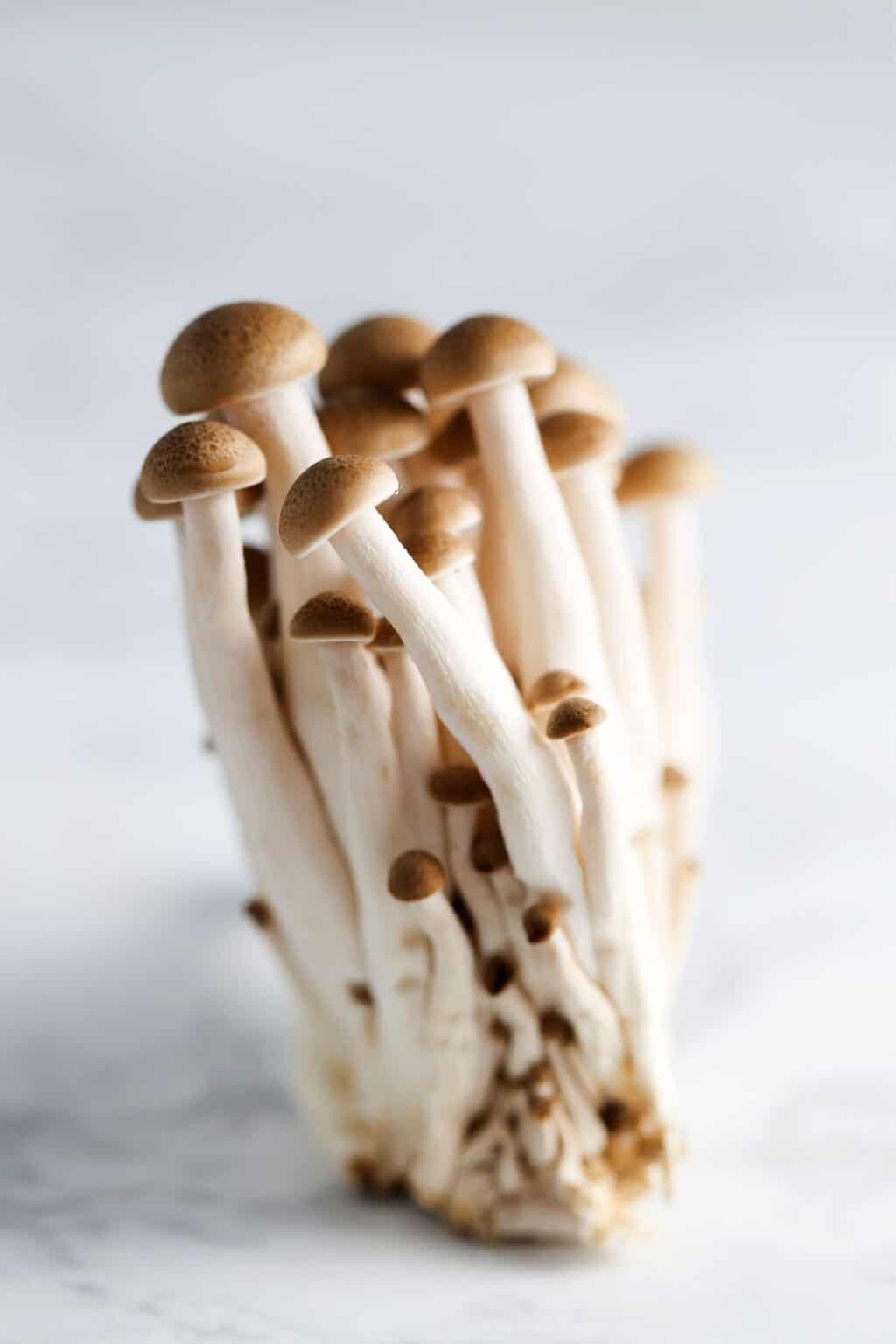 What Goes With Mushrooms? - A Nourishing Plate