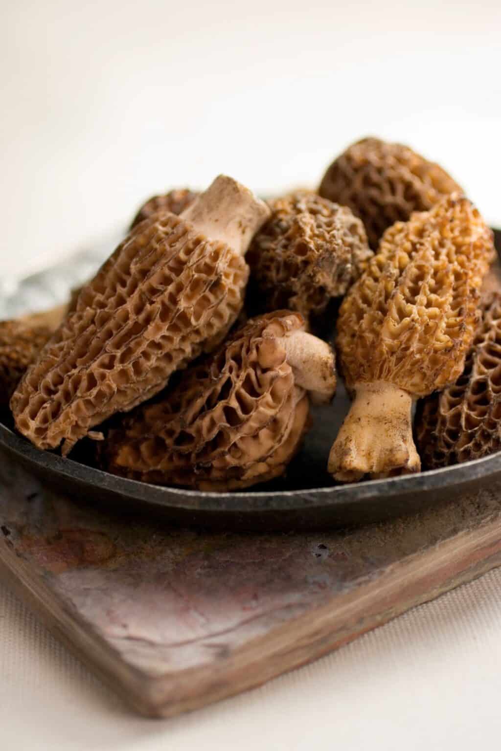 What Goes With Mushrooms? - A Nourishing Plate
