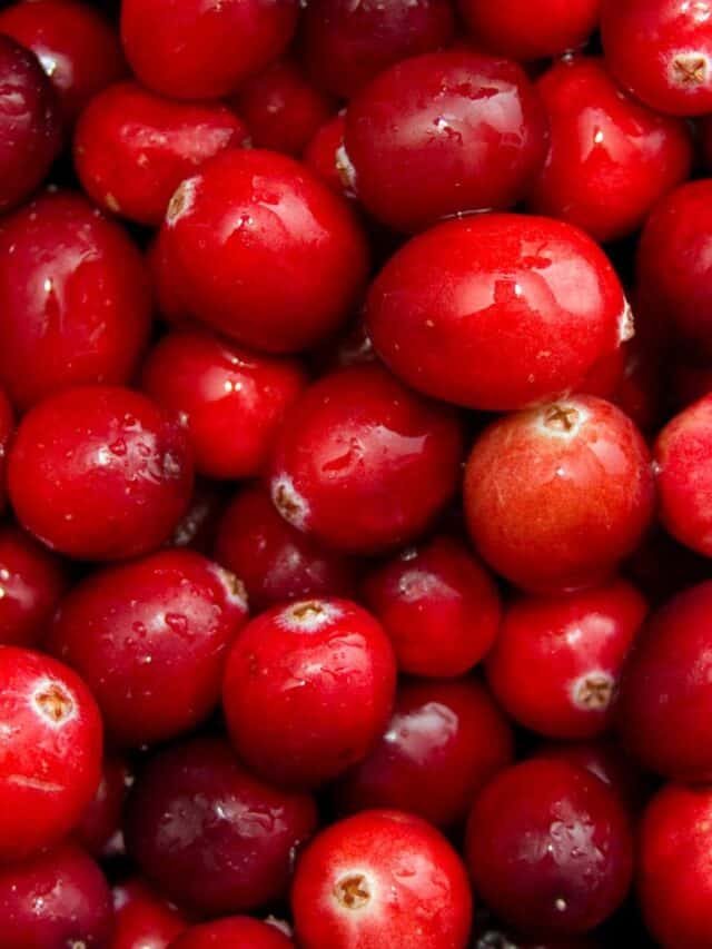 What Goes Well With Blood Orange? A Nourishing Plate