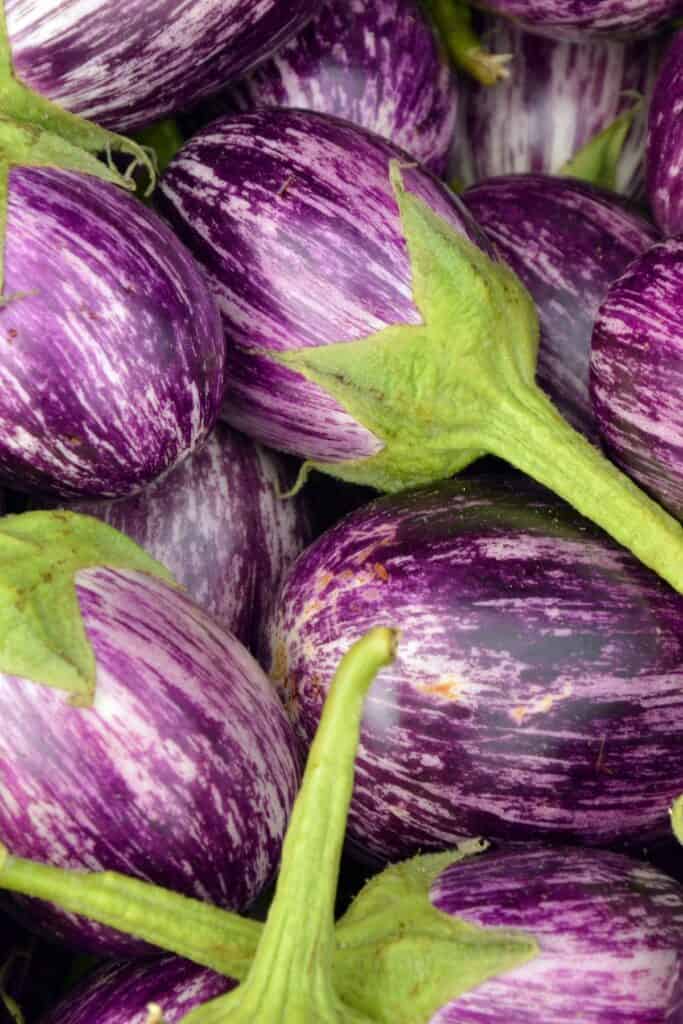 Eggplant Substitute 9 Best Substitutes For Eggplant A Nourishing Plate
