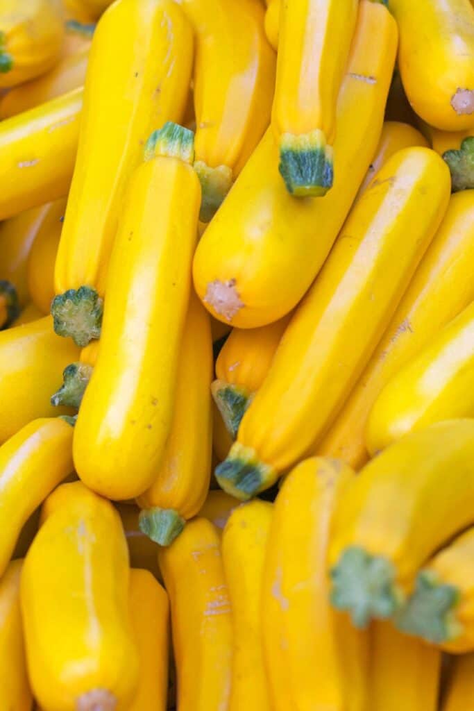 Eggplant Substitute 9 Best Substitutes For Eggplant A Nourishing Plate