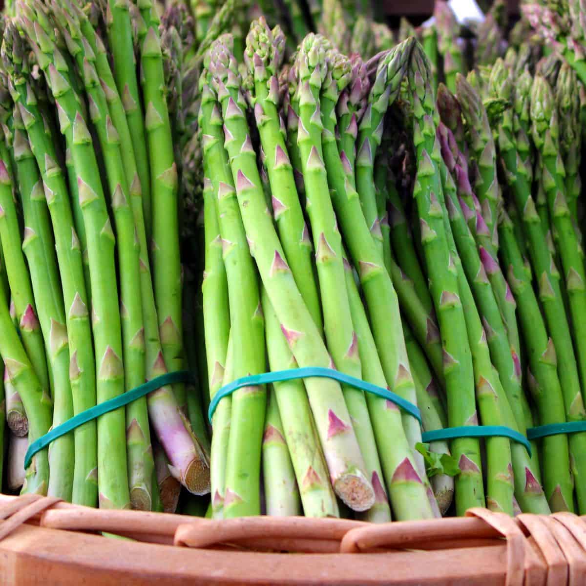 Best Asparagus Substitutes & When To Use Them A Nourishing Plate
