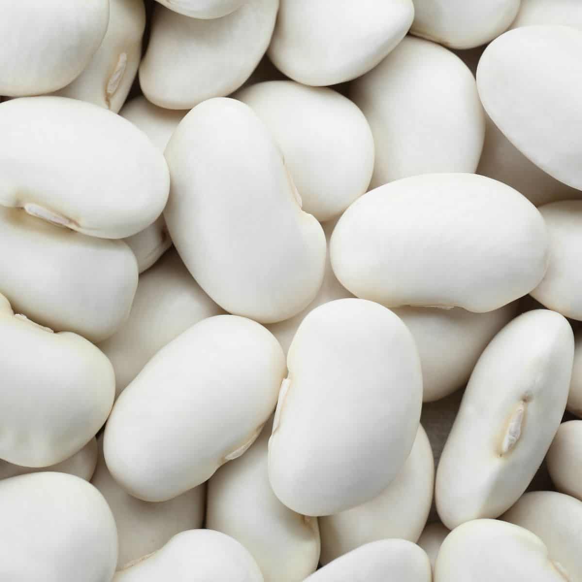 Best Substitutes For Butter Beans & When To Use Them A Nourishing Plate